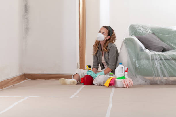 Reliable Black Mold Remediation contractor in Circle Pines, MN by Car Mold Remediation